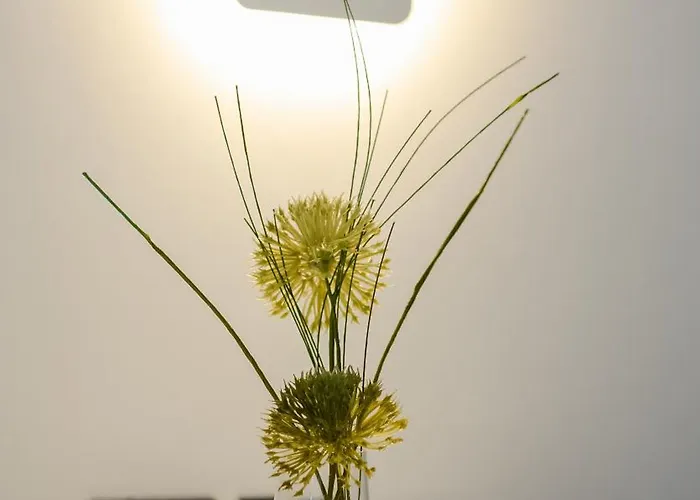 Eternity Blue Elia (Mykonos)